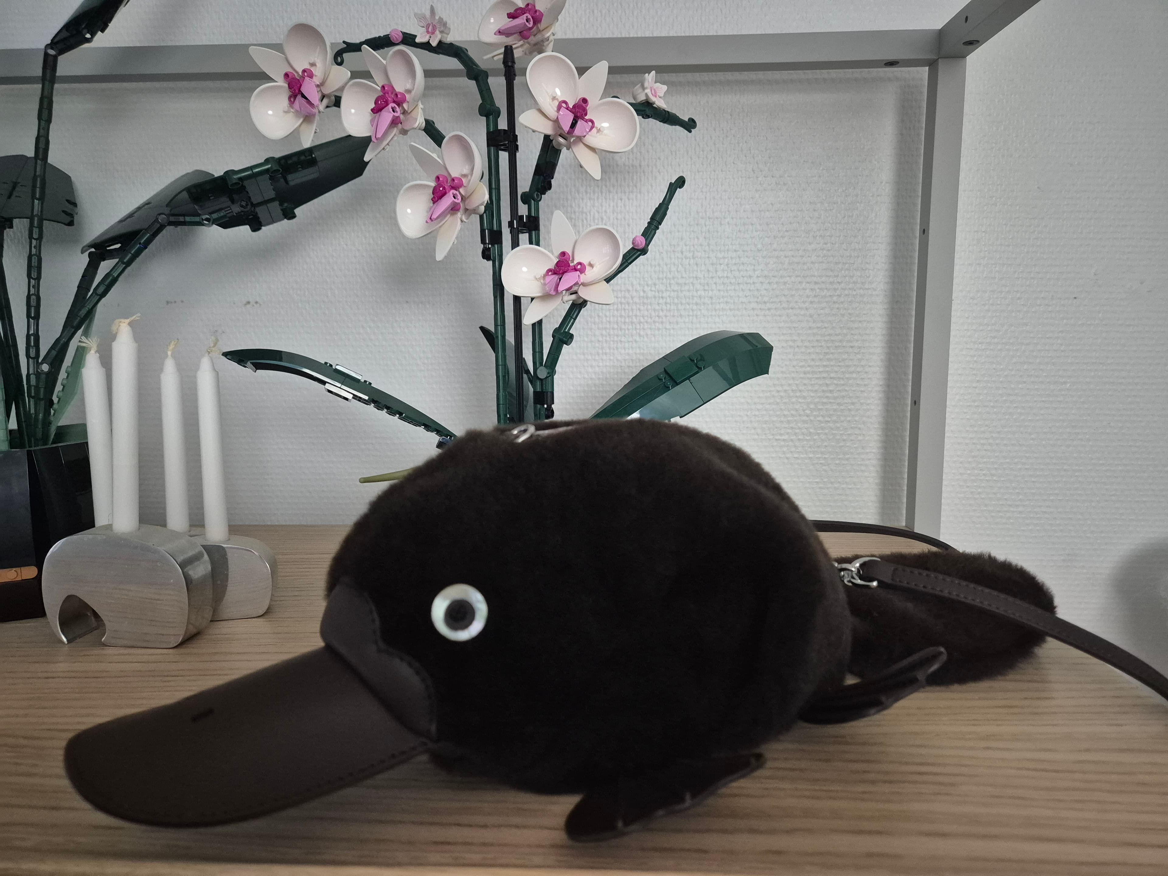 Handbag Care: How to Care for Shearling Bags